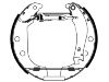 刹车蹄片 Brake Shoe:4241.6E